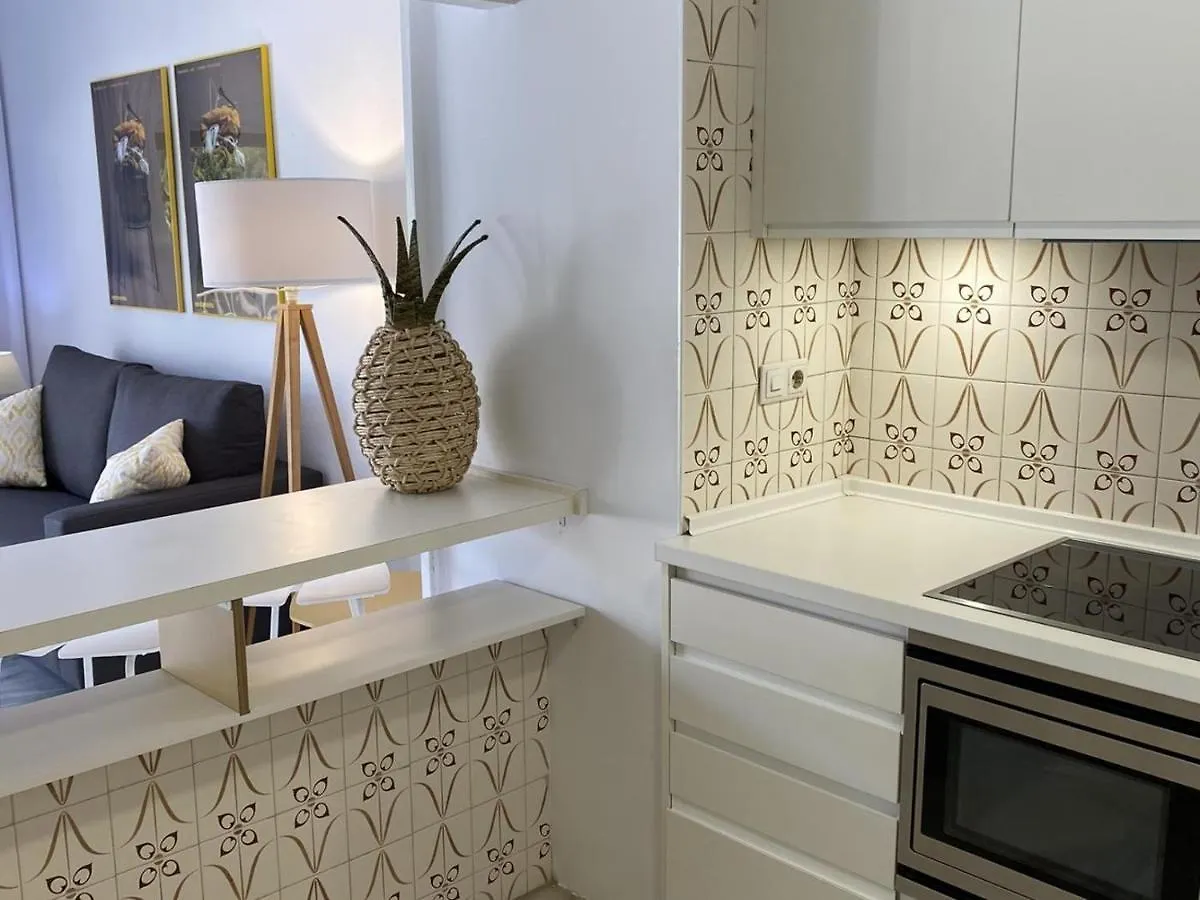 2 Apartamentos Muy Luminosos Con Grandes Terraza Marbella Spain